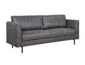 buffalo 2s antra schuin