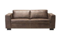 rina western bruin 2s rvv