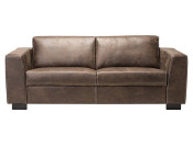 rina western bruin 2s rvv