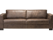 rina western bruin 3s rvv