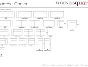 santos cartiertypeplan