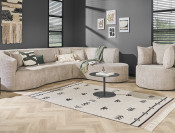 salvador antoni set